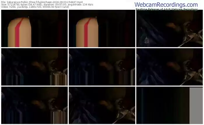 2024/08/03/sakuralivejp-fujikochaan-15-44-47