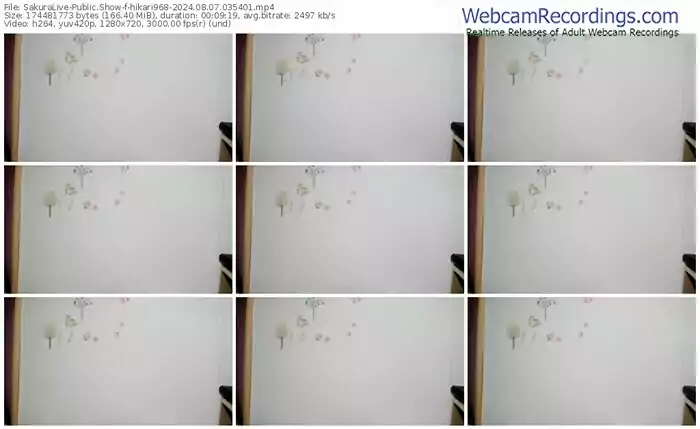 2024/08/07/sakuralivejp-hikari968-03-54-01