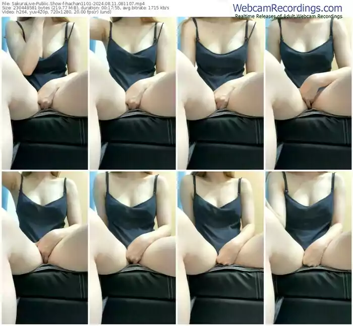 2024/08/11/sakuralivejp-hachan1101-08-11-07