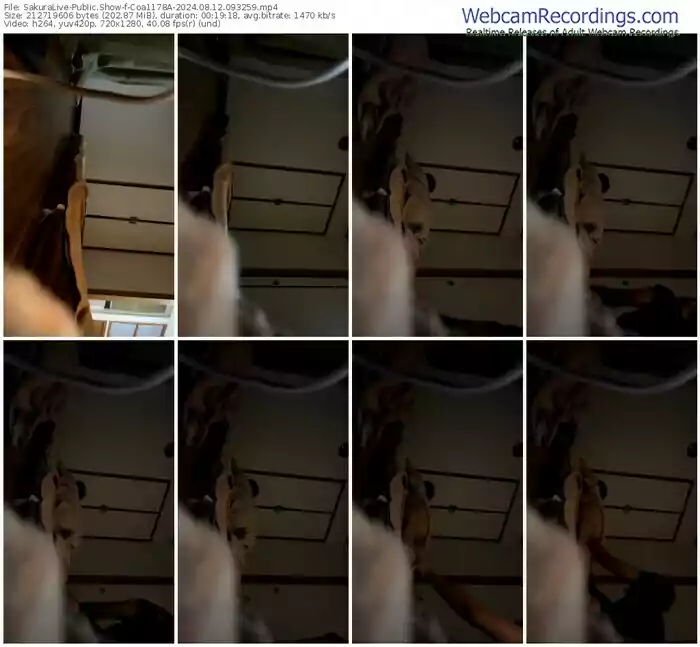 2024/08/12/sakuralivejp-coa1178a-09-32-59