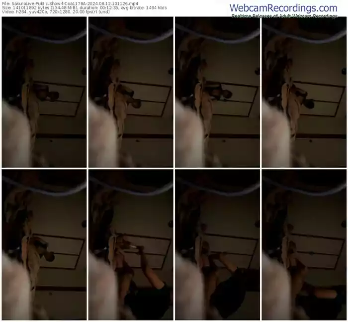 2024/08/12/sakuralivejp-coa1178a-10-11-26