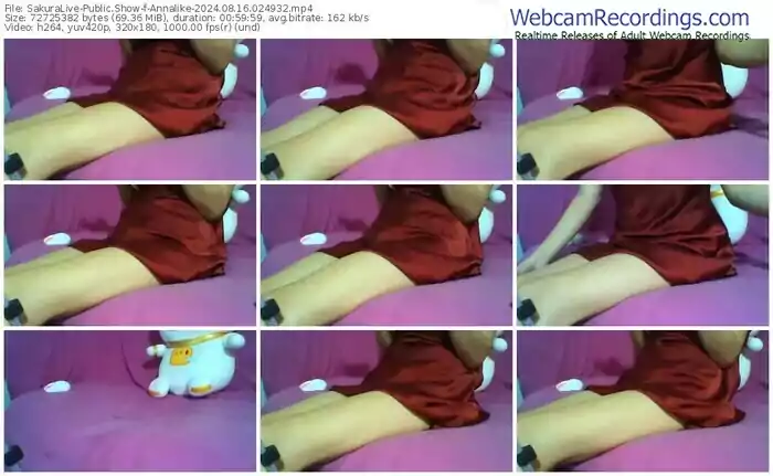 2024/08/16/sakuralivejp-annalike-02-49-32
