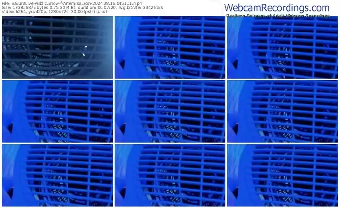 2024/08/16/sakuralivejp-artemisaleon-04-51-11