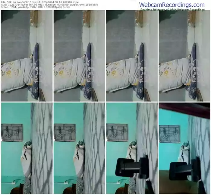 2024/08/16/sakuralivejp-full69-10-29-09