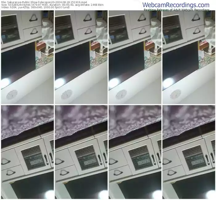 2024/08/18/sakuralivejp-decopon20-15-19-19