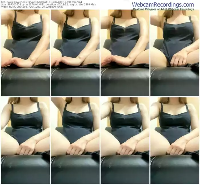 2024/08/19/sakuralivejp-hachan1101-09-12-36