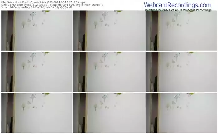 2024/08/19/sakuralivejp-hikari968-20-12-55