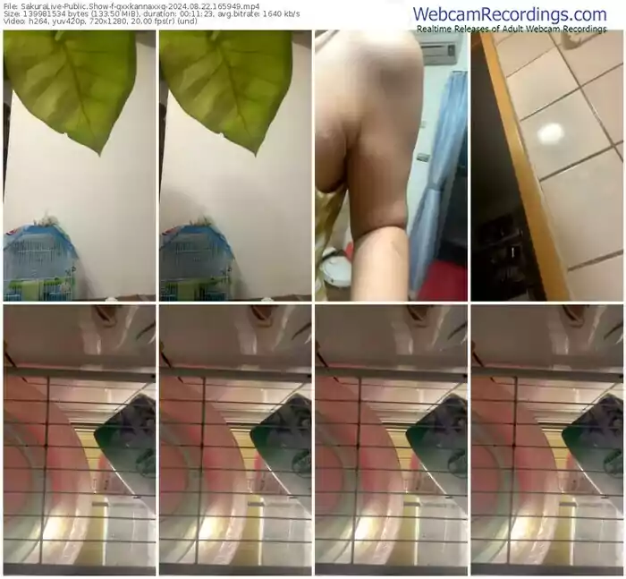 2024/08/22/sakuralivejp-qxxkannaxxq-16-59-49