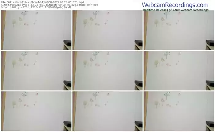 2024/08/23/sakuralivejp-hikari968-00-12-51
