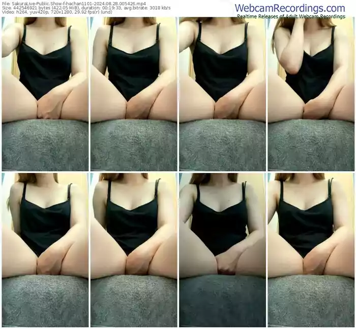 2024/08/28/sakuralivejp-hachan1101-00-54-26