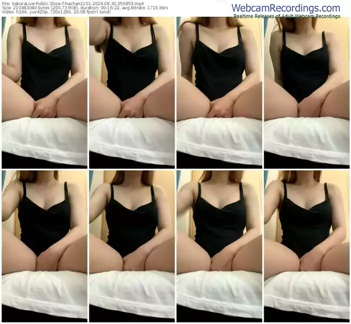 2024/08/30/sakuralivejp-hachan1101-05-58-53