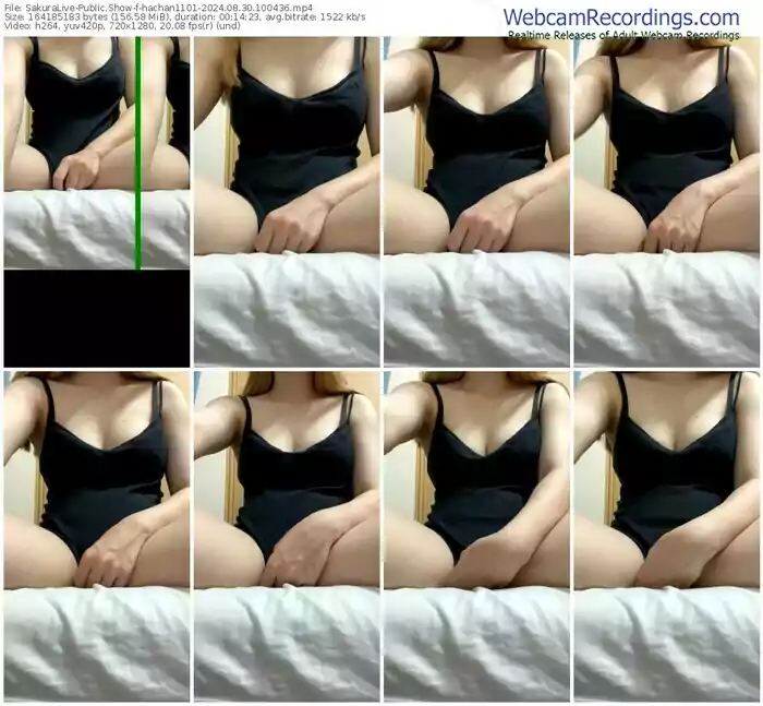 2024/08/30/sakuralivejp-hachan1101-10-04-36