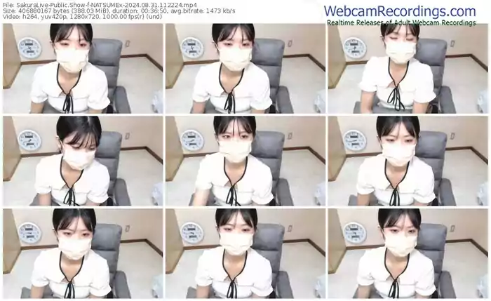 2024/08/31/sakuralivejp-natsumex-11-22-24