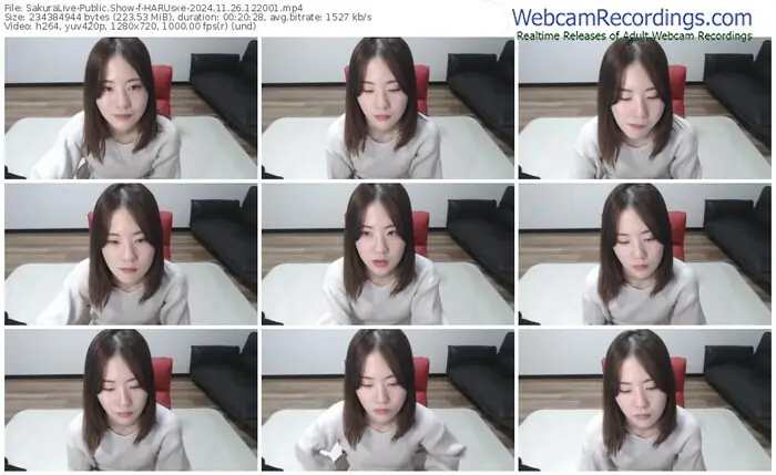 2024/11/26/sakuralivejp-harusxe-12-20-01