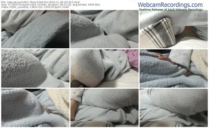 2024/11/28/sakuralivejp-nachiv-16-12-10