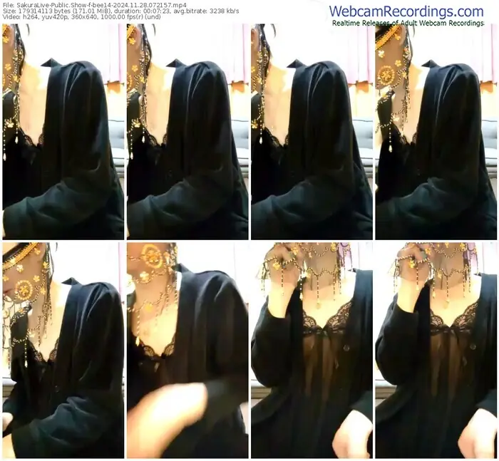 2024/11/28/sakuralivejp-bee14-07-21-57