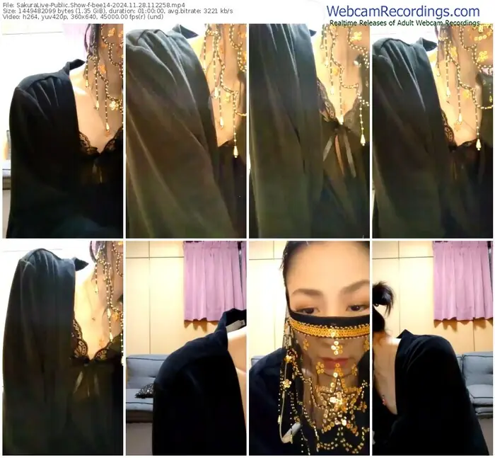 2024/11/28/sakuralivejp-bee14-11-22-58