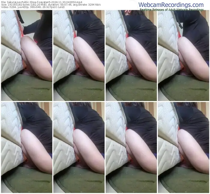 2024/11/30/sakuralivejp-sayatan5-04-29-50