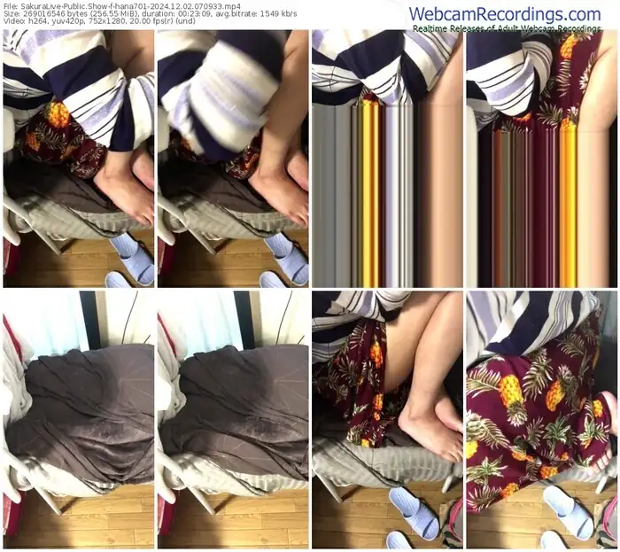 2024/12/02/sakuralivejp-hana701-07-09-33