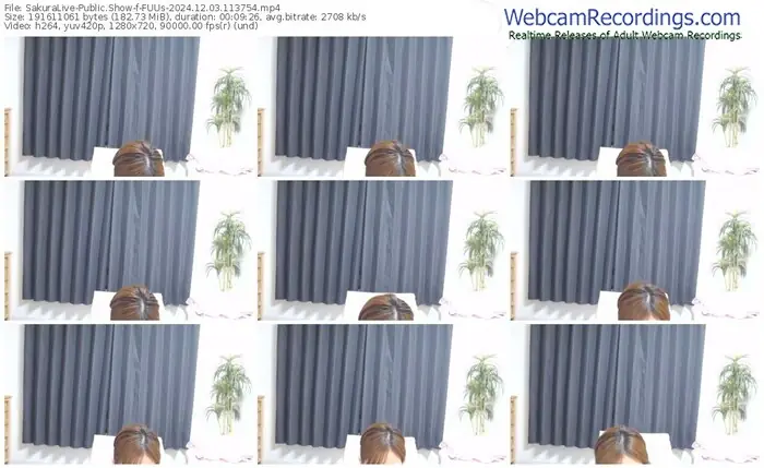 2024/12/03/sakuralivejp-fuus-11-37-54