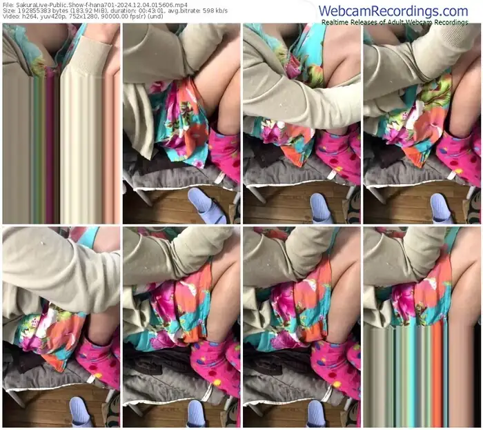 2024/12/04/sakuralivejp-hana701-01-56-06