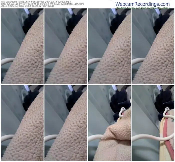 2024/12/14/sakuralivejp-ohlady010-02-02-09