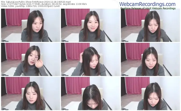 2024/12/18/sakuralivejp-harusxe-19-05-20