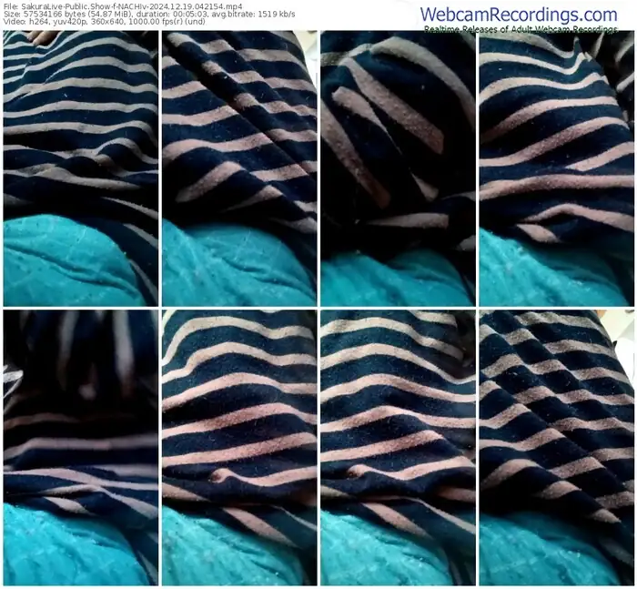 2024/12/19/sakuralivejp-nachiv-04-21-54