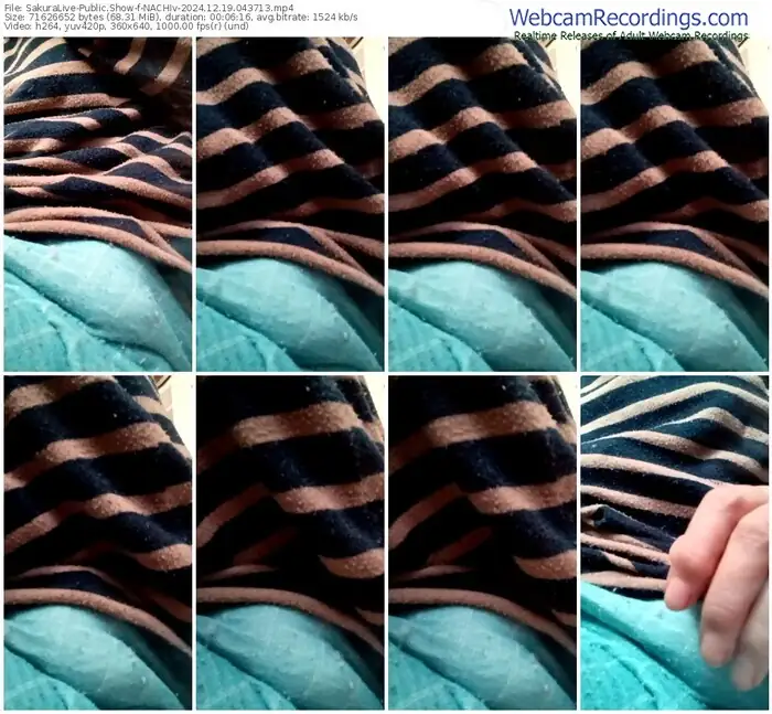 2024/12/19/sakuralivejp-nachiv-04-37-13