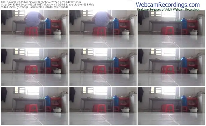 2024/12/22/sakuralivejp-bighotxxx-04-29-23