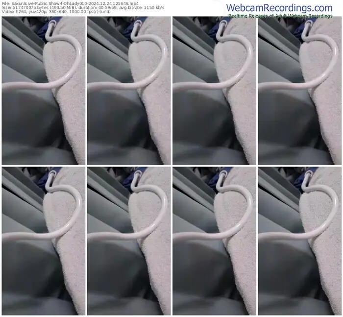 2024/12/24/sakuralivejp-ohlady010-12-16-46