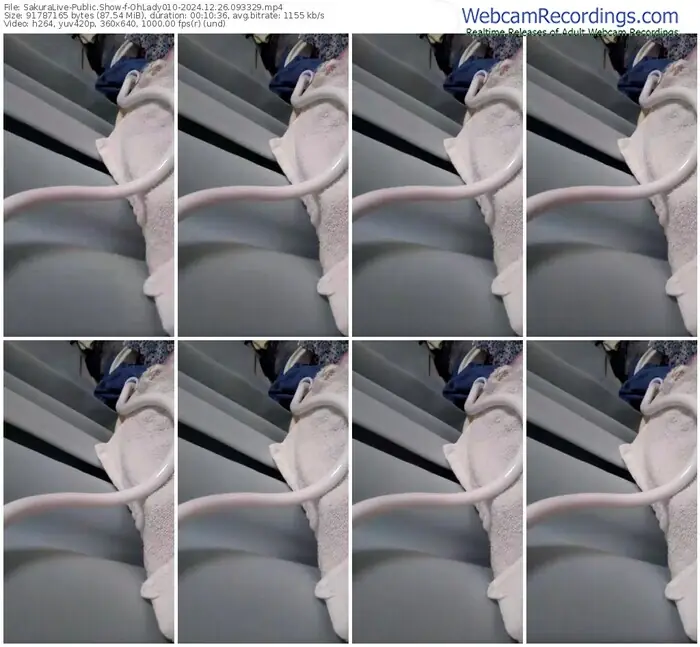 2024/12/26/sakuralivejp-ohlady010-09-33-29