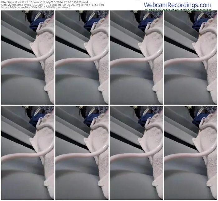 2024/12/26/sakuralivejp-ohlady010-09-57-27