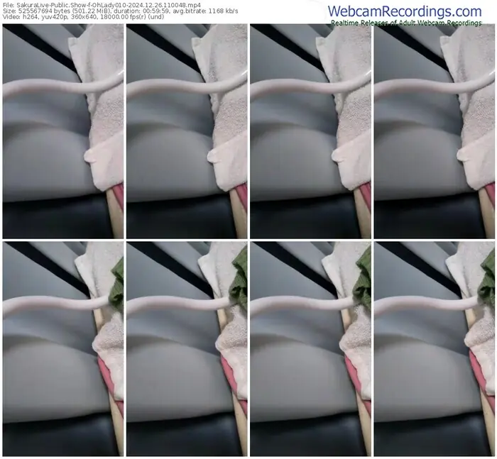 2024/12/26/sakuralivejp-ohlady010-11-00-48