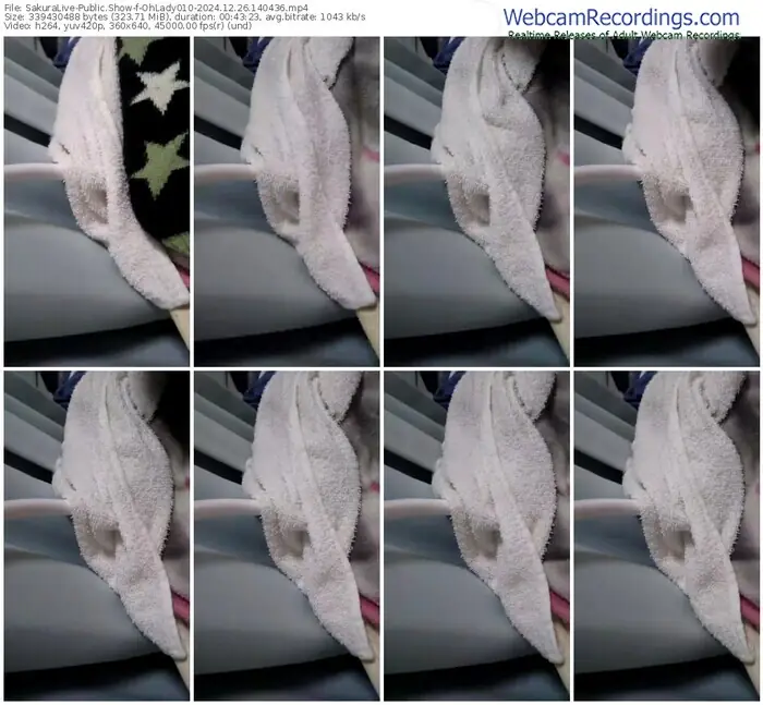 2024/12/26/sakuralivejp-ohlady010-14-04-36