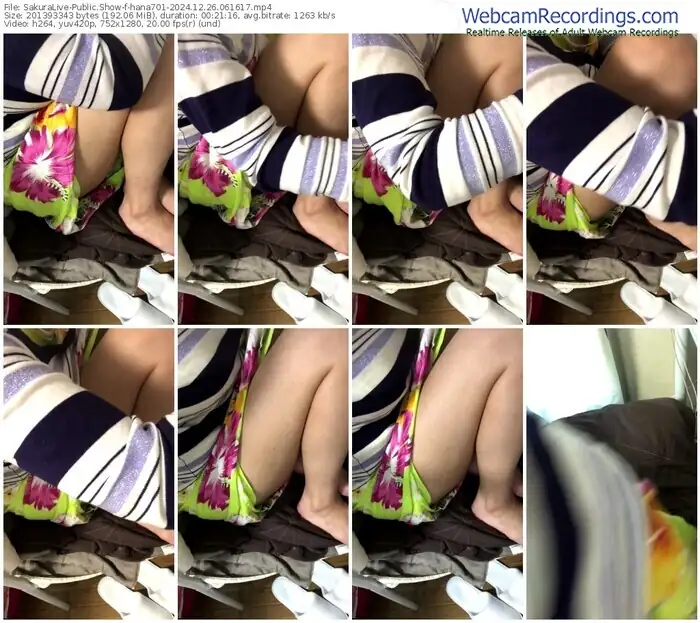 2024/12/26/sakuralivejp-hana701-06-16-17