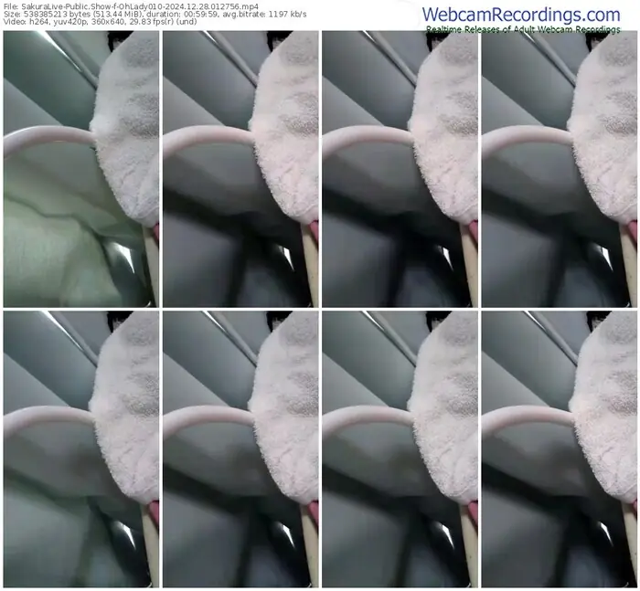 2024/12/28/sakuralivejp-ohlady010-01-27-56