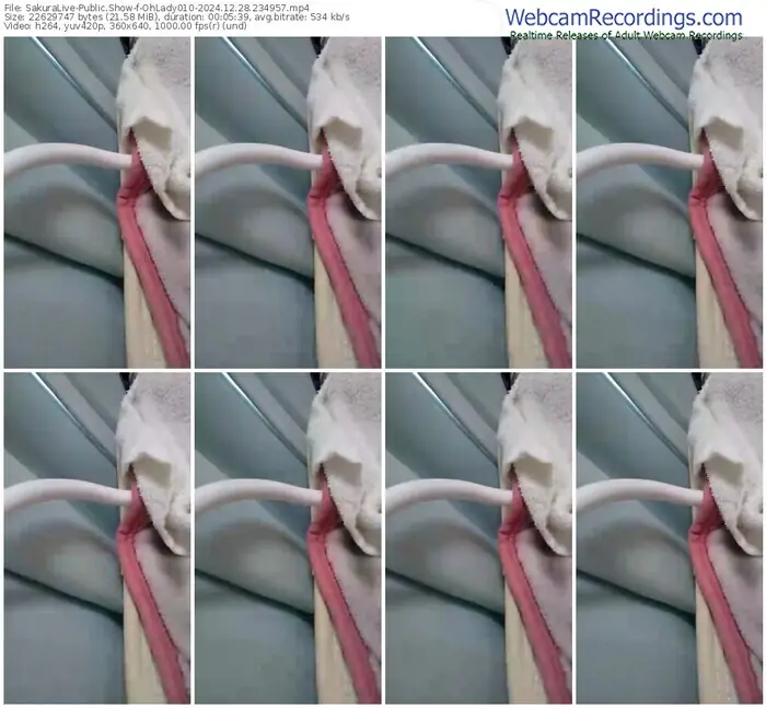 2024/12/28/sakuralivejp-ohlady010-23-49-57