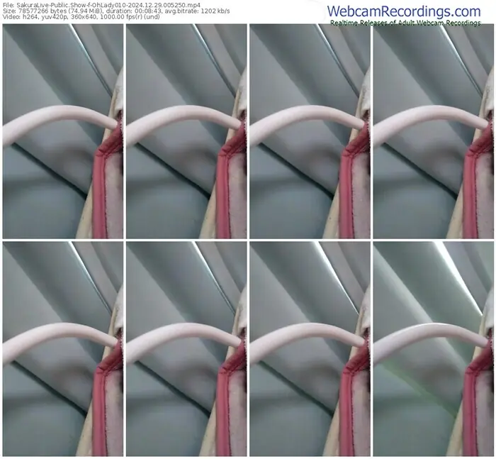 2024/12/29/sakuralivejp-ohlady010-00-52-50