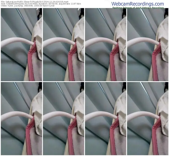 2024/12/29/sakuralivejp-ohlady010-01-42-16