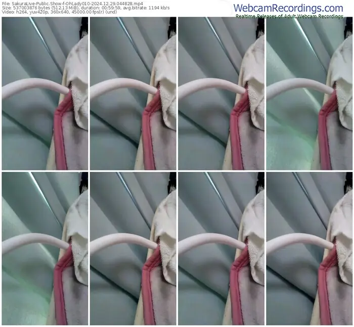 2024/12/29/sakuralivejp-ohlady010-04-48-28