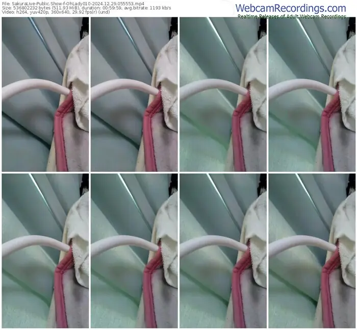 2024/12/29/sakuralivejp-ohlady010-05-55-53