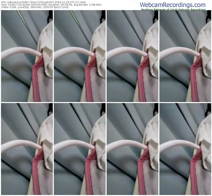 2024/12/29/sakuralivejp-ohlady010-07-11-17