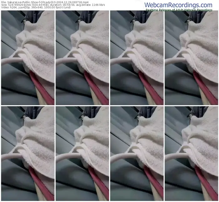 2024/12/29/sakuralivejp-ohlady010-09-37-18