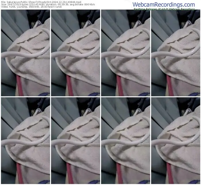 2024/12/29/sakuralivejp-ohlady010-14-38-44