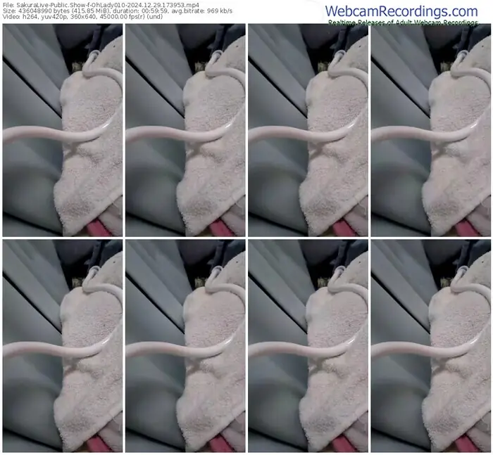 2024/12/29/sakuralivejp-ohlady010-17-39-53