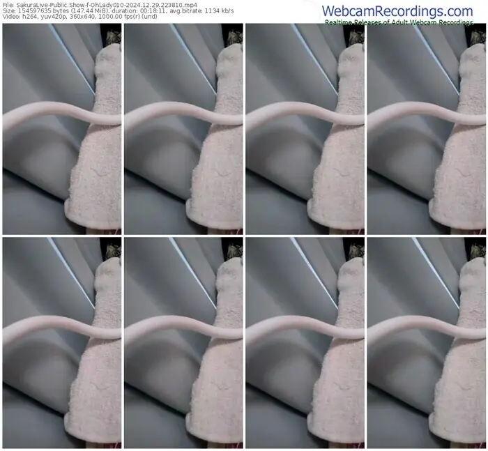 2024/12/29/sakuralivejp-ohlady010-22-38-10