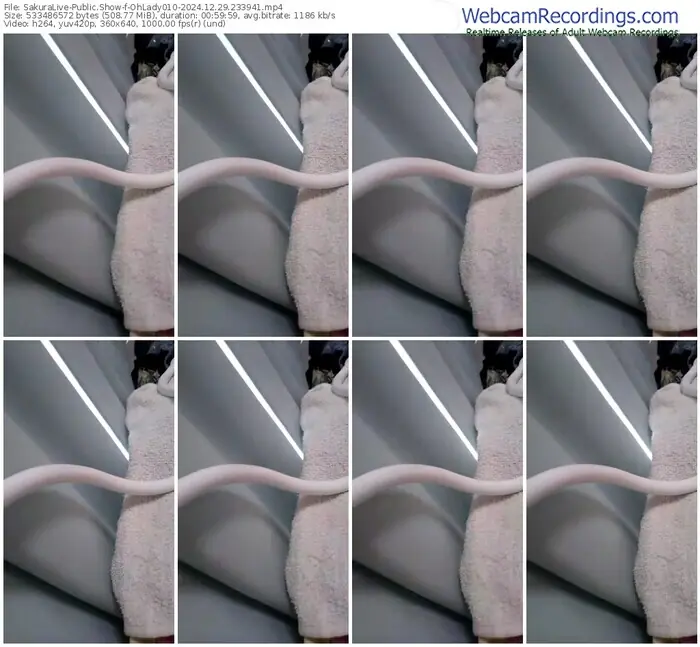 2024/12/29/sakuralivejp-ohlady010-23-39-41