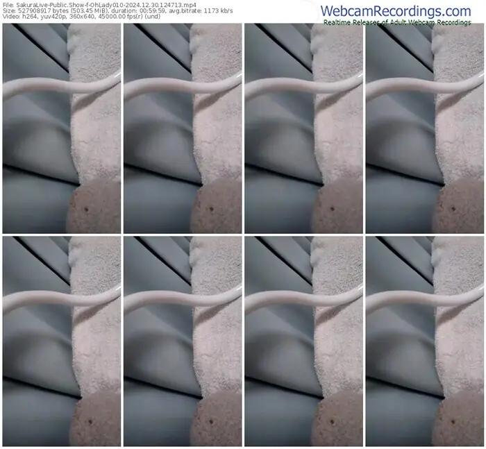 2024/12/30/sakuralivejp-ohlady010-12-47-13