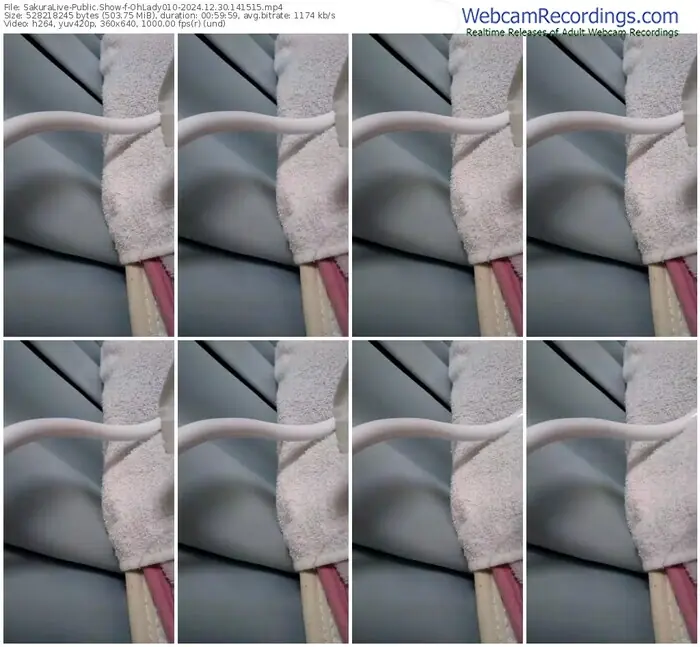 2024/12/30/sakuralivejp-ohlady010-14-15-15